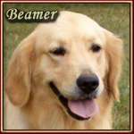 Beamer