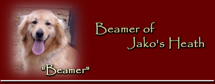 Beamer of Jako's Heath