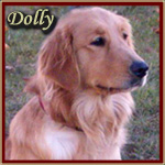Dolly