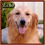 Echo