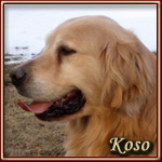 Koso