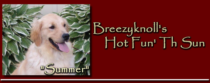 Breezyknoll's Hot Fun In Th' Sun - Summer