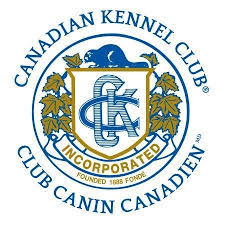 Golden Retriever Puppies - Canadian Kennel Club