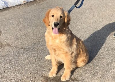 Our Boys - Tucker
