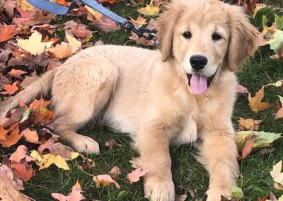 Our Boys - Tucker